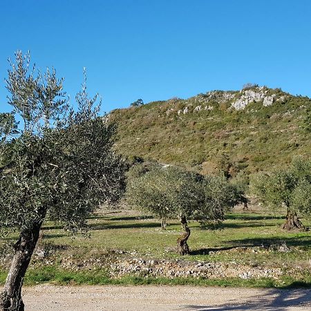 Villa Casa Das Oliveiras à Alvados Extérieur photo