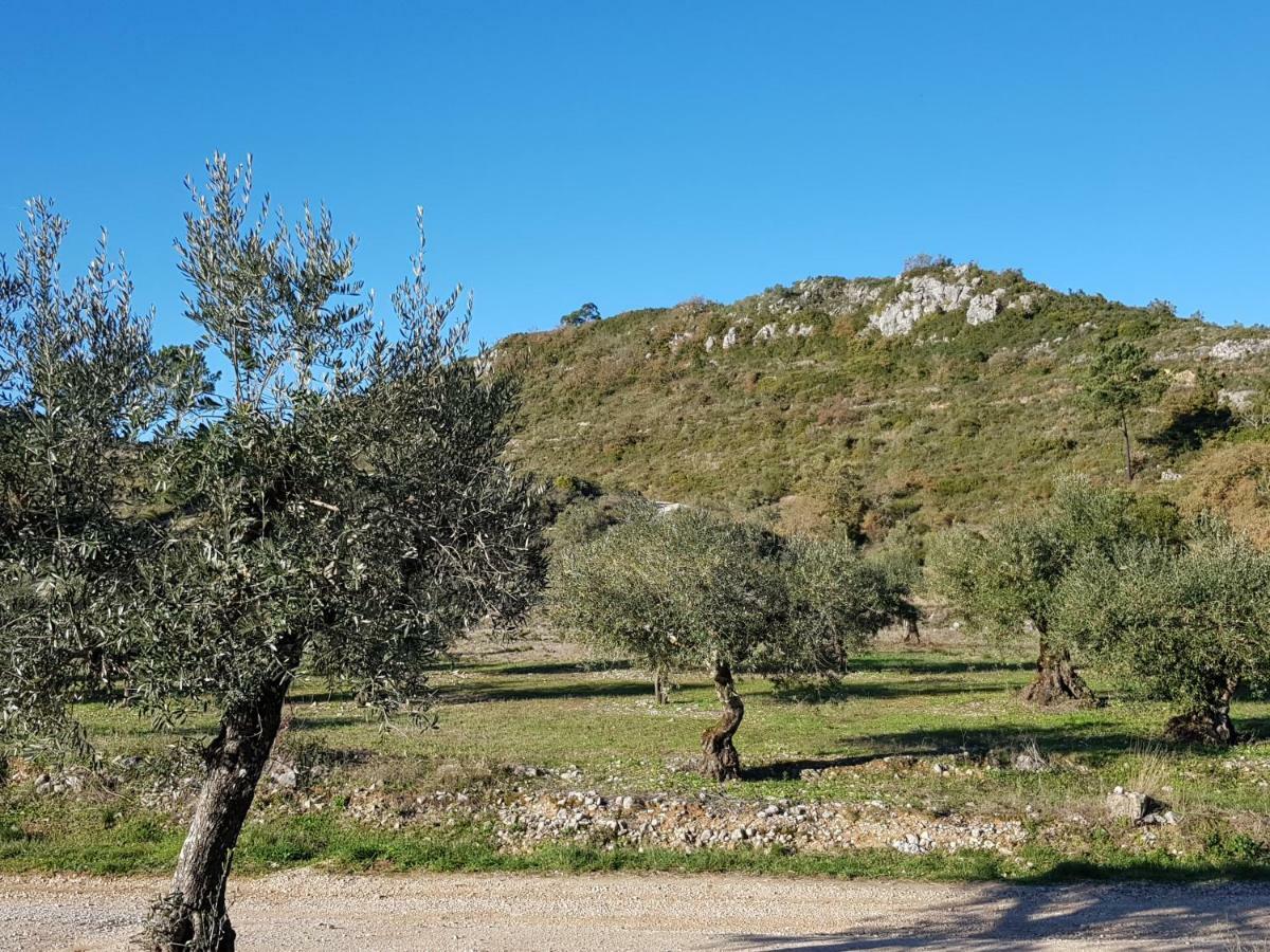 Villa Casa Das Oliveiras à Alvados Extérieur photo