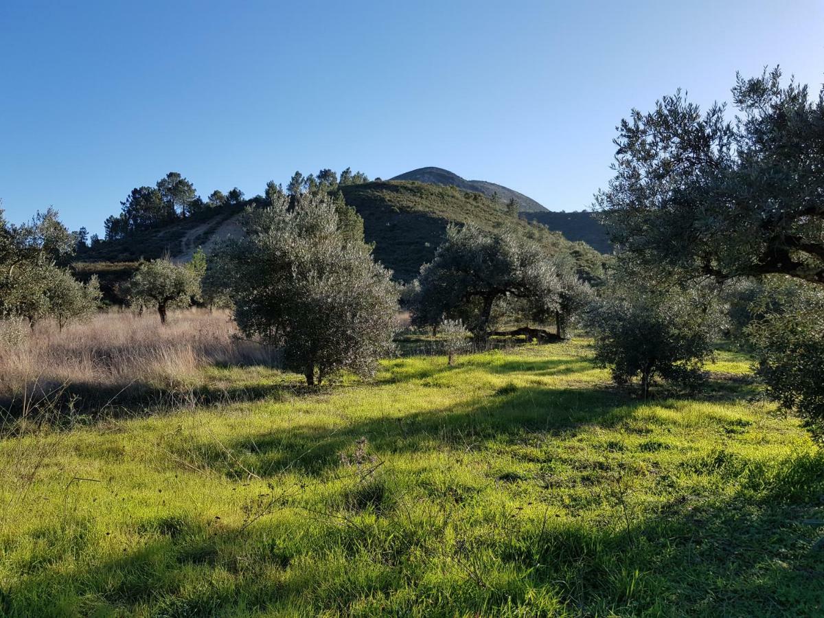 Villa Casa Das Oliveiras à Alvados Extérieur photo